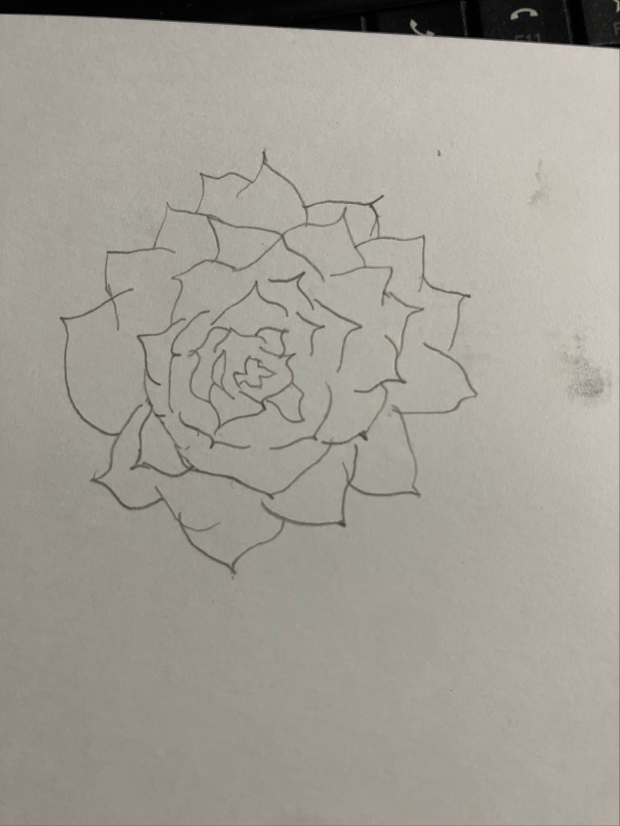 Foto van Tropische Plant 2